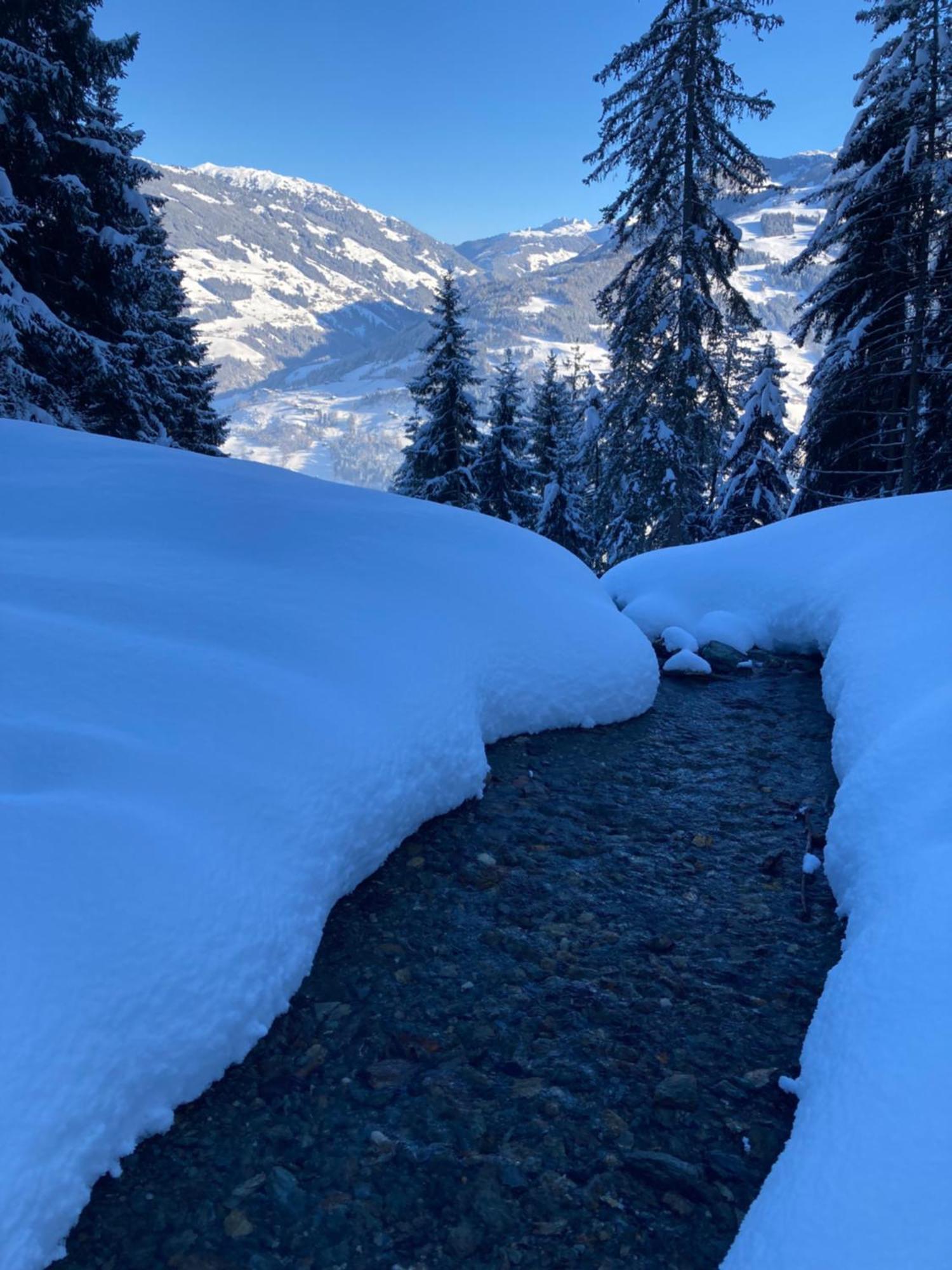 Goass'N Alm Zillertal Βίλα Hippach Εξωτερικό φωτογραφία