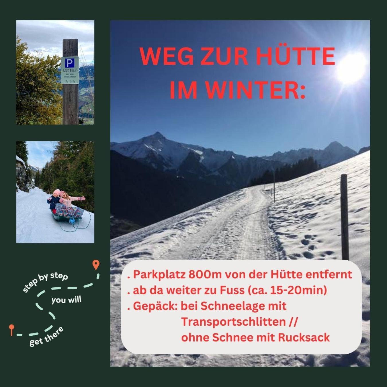 Goass'N Alm Zillertal Βίλα Hippach Εξωτερικό φωτογραφία