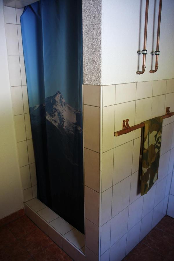 Goass'N Alm Zillertal Βίλα Hippach Εξωτερικό φωτογραφία